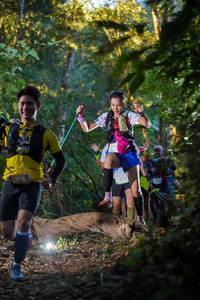 BIB: 
                            <button type="button" onclick="openModal(19239162)" class="btn btn-primary btn-sm float-right btn-popup" data-toggle="modal" data-target=".modal-high-quality">
                        <i class="fas fa-shopping-cart"></i> Add to Cart
                    </button>
                                            <button type="button" onclick="isThisMe(19239162, true)" class="btn btn-success btn-sm float-right btn-popup btn-isme hidden" data-toggle="tooltip" data-placement="bottom" title="นี่คือรูปของคุณใช่ไหม คลิกที่นี่เพื่อเอาเข้าอัลบั้ม">
                        <i class="fas fa-plus"></i> Add to album
                    </button>
                    <button type="button" onclick="isThisMe(19239162, false)" class="btn btn-warning btn-sm float-right btn-popup btn-isnotme hidden">
                        <i class="fas fa-ban"></i> Remove from album
                    </button>